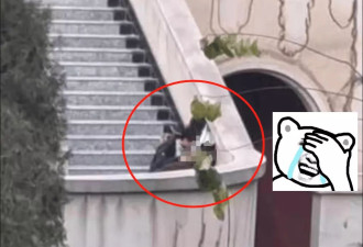 兰州交大一对情侣走红，堪称“赤壁之战”