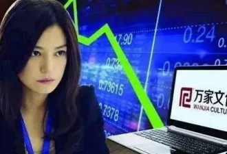 被强制执行8488元的赵薇，是如何到这一步的