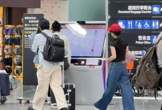 没离婚？杨子黄圣依一起坐飞机去新加坡被偶遇