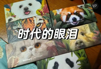 靠容貌焦虑收割女生之后，国货美妆开始集体涨价