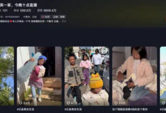 李子柒回来了，但农村博主仍困在商业化中
