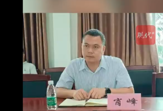 好色！中国海南县委副书记肖峰偷吃人妻 落马被查