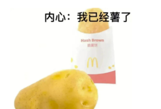 留学美国：“我配不上我的大学”