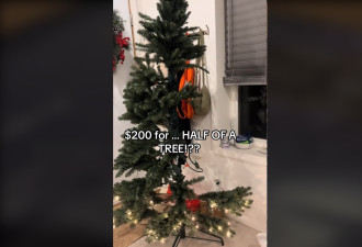 多伦多妹子花200元买的圣诞树，组装后竟只有一半！网友笑喷了