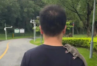 爱养“丑宠物”的中产，精神状态有多颠？