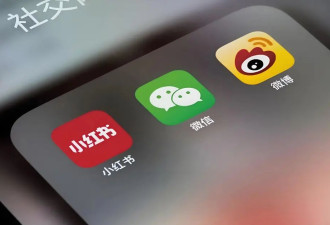 日本中的中国：与日本社会隔绝的在日华人