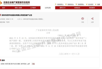 从明星独角兽到破产清算 柔宇科技的骗局与败局