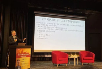 许成钢：若美国"AI曼哈顿计划"启动 中国将步前苏联后尘