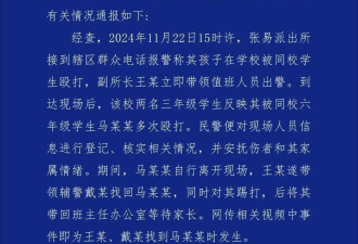 警察殴打小学生事件：教训校园霸凌者 王副所长冤不冤？