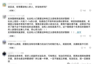 警察殴打小学生事件：教训校园霸凌者 王副所长冤不冤？