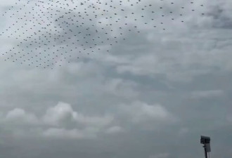 马斯克描绘“空战未来”：有些白痴仍在造F-35…
