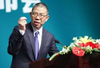 中国首富炮轰电商平台、更抨击中国政府“失职”