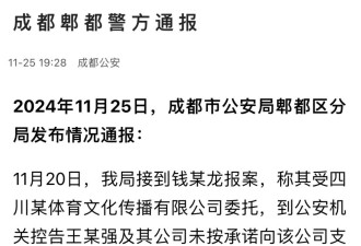 王宝强被举报票房欺诈1.1亿？成都警方回应了