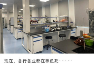 现在中国各行各业都在“等鱼死”