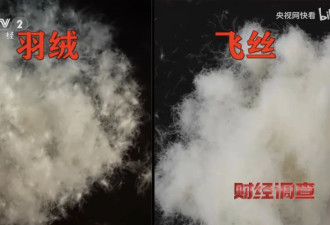 全国大降温，多少人被“假羽绒服”坑惨了