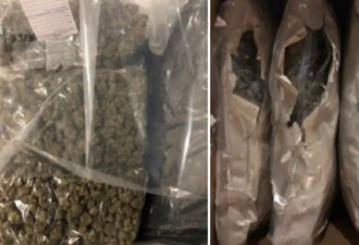 中国留学生被判入狱！代收快递竟成毒贩帮凶？