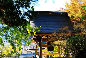 日本岐阜县郡上八幡城风景如画 欣赏美丽枫叶