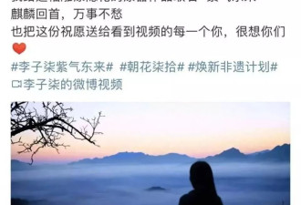 李子柒仅复出13天，却不再是当年的“白月光”！