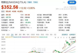 马斯克豪赌上位 从世界首富到“公务员” 在下盘什么棋？