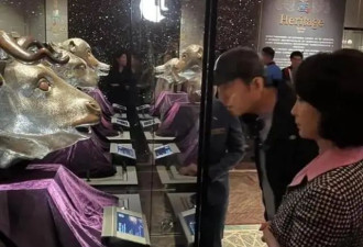 张艺谋澳门观展的“意外”插曲！何超琼亲自作陪，去看圆明园铜首
