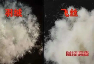 中国羽绒服也出事 3000多元买的拆开全是飞丝