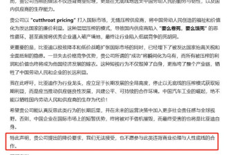 你以为自己姓赵了?比亚迪被供应商扇了一巴掌