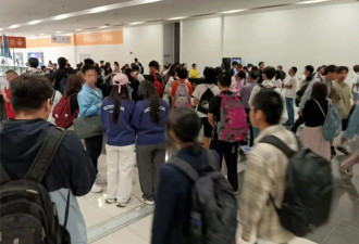在香港SAT“万人坑”渡劫的“卷王”