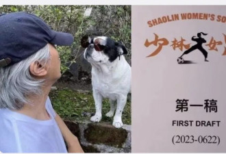 周星驰电影有动静了：张小斐舒淇出演
