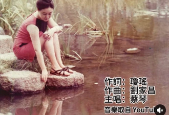 86岁琼瑶忆亡夫 平鑫涛生前卧床鼻胃管照曝光