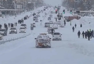 鹤岗特大暴雪后，市民：不少车埋在雪里，蔬菜...