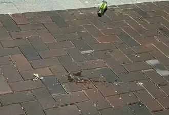 孕34周孕妇被砸断脚趾后 高空抛物维权仍困难重重