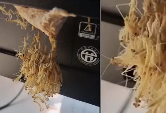 密集恐惧症！她电脑萤幕背后 竟有一窝螳螂宝宝
