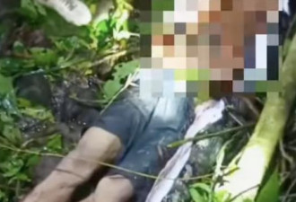 男突失踪 家人见蟒蛇腹部鼓胀剖蛇腹惊现尸体