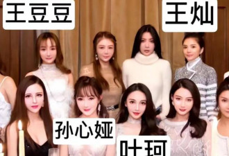 疑似分手 黄晓明救不了女友叶珂