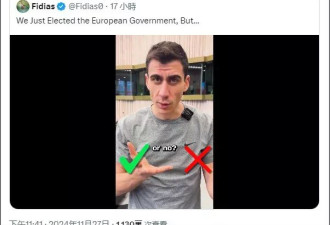 马斯克批欧盟：你们这个机制，一点都不民主