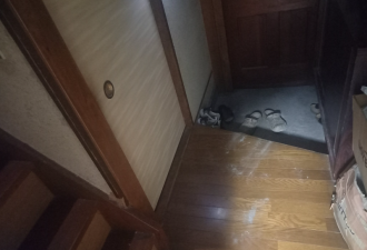 家遭闯如竟没偷东西 网友笑翻：你比小偷更像罪犯