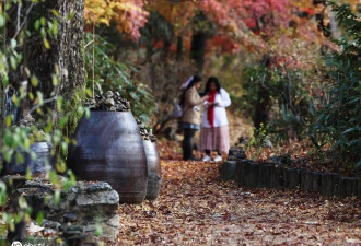 韩国民俗村满地落叶 秋色满园
