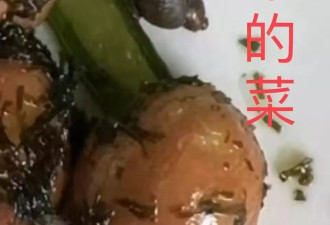 上海知名民办学校食堂吃出蜗牛、调料发霉？