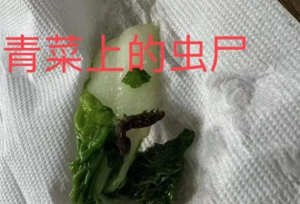 上海知名民办学校食堂吃出蜗牛、调料发霉？