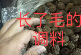 上海知名民办学校食堂吃出蜗牛、调料发霉？