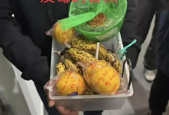 上海知名民办学校食堂吃出蜗牛、调料发霉？