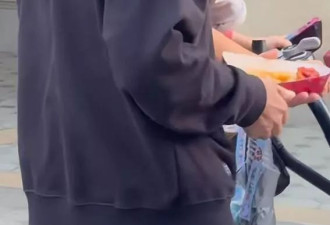 蔡少芬全家游迪士尼，50岁张晋满头白发