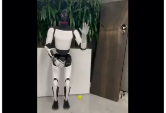 特斯拉展示机器人“里程碑”式成就：稳稳接住网球