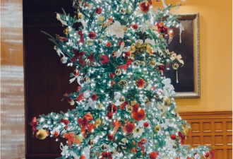 安省议会大楼在12月将有特别节日庆祝活动 公众可免费参观体验