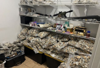 南加民宅成致幻菇大型种植点！$300万蘑菇被查