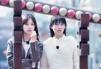 李子柒、王冰冰同框，却被台媒尬黑，台网友“干得漂亮”！