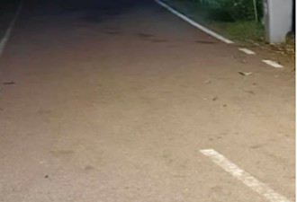 出门倒垃圾被大象追赶 遭象鼻推倒 还踢了一脚