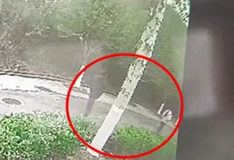 男子尾随16岁女孩图谋不轨 货车司机拿撬杠相救