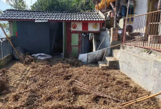 四川村民家中遭黑熊袭击 妻子重伤丈夫持斧击杀黑熊