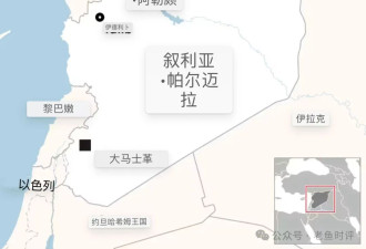 叙利亚政局风云突变！谁会是最大输家